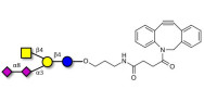 GD2 Ganglioside...