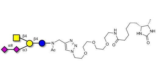 GD2 Ganglioside oligosaccharide linked to desthiobiotin (Linker-DBT-A) - GLY094-NAc-sp3-DBt