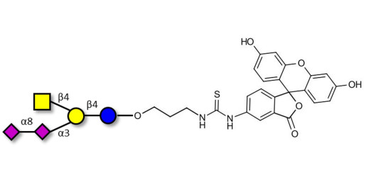 GD2 Ganglioside oligosaccharide linked to fluorescein (Linker-FLUO A)