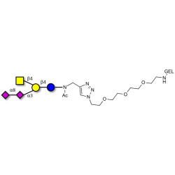 GD2 Ganglioside oligosaccharide grafted on gel for affinity chromatography (Linker-GEL A)