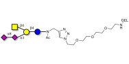 GD2 Ganglioside...