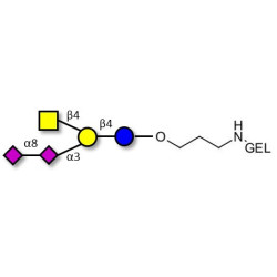 GD2 Ganglioside oligosaccharide grafted on gel for affinity chromatography (Linker-GEL B)