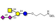 GD2 Ganglioside...
