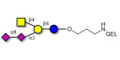 GD2 Ganglioside oligosaccharide grafted on gel for affinity chromatography (Linker-GEL B)