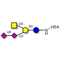 GD2 Ganglioside oligosaccharide grafted on HSA