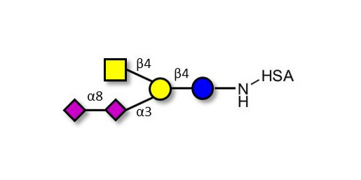 GD2 Ganglioside oligosaccharide grafted on HSA