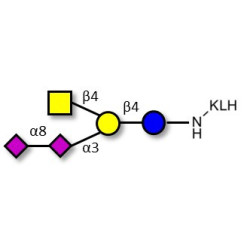 GD2 Ganglioside oligosaccharide grafted on KLH