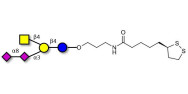 GD2 Ganglioside...