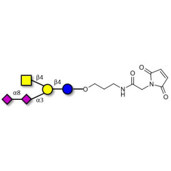 GD2 Ganglioside oligosaccharide linked to maleimide (Linker-MAL A)