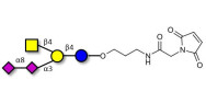 GD2 Ganglioside...