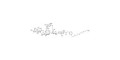 GD2 Ganglioside oligosaccharide with free terminal amine (Linker-NH2 B) - GLY094-NAc-sp1-NH2