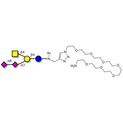 GD2 Ganglioside oligosaccharide with free terminal amine (Linker-NH2 C)