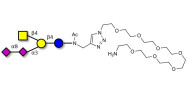 GD2 Ganglioside...