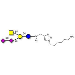 GD2 Ganglioside oligosaccharide with free terminal amine (Linker-NH2 D)