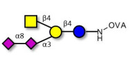 GD2 Ganglioside...