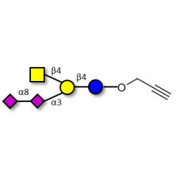 GD2 Ganglioside oligosaccharide with terminal alkyne (Linker-CΞCH B)