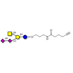 GD2 Ganglioside oligosaccharide with terminal alkyne (Linker-CΞCH C)