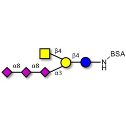 GT2 Ganglioside oligosaccharide grafted on BSA