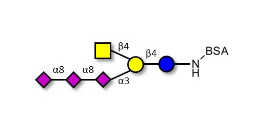 GT2 Ganglioside oligosaccharide grafted on BSA