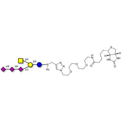 GT2 Ganglioside oligosaccharide linked to biotin (Linker-BT A)