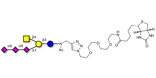 GT2 Ganglioside oligosaccharide linked to biotin (Linker-BT A)