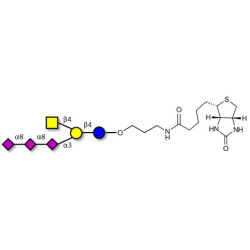 GT2 Ganglioside oligosaccharide linked to biotin (Linker-BT B)