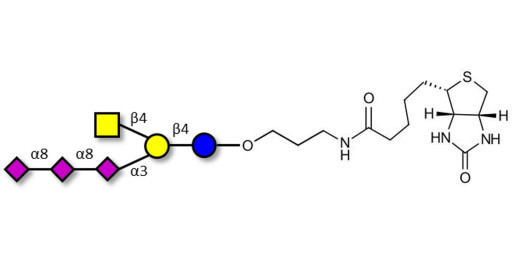 GT2 Ganglioside oligosaccharide linked to biotin (Linker-BT B)