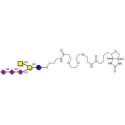 GT2 Ganglioside oligosaccharide linked to biotin (Linker-BT C)