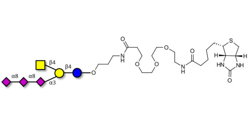 GT2 Ganglioside oligosaccharide linked to biotin (Linker-BT C)