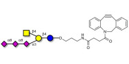 GT2 Ganglioside...