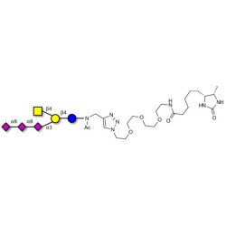 GT2 Ganglioside oligosaccharide linked to desthiobiotin (Linker-DBT-A)