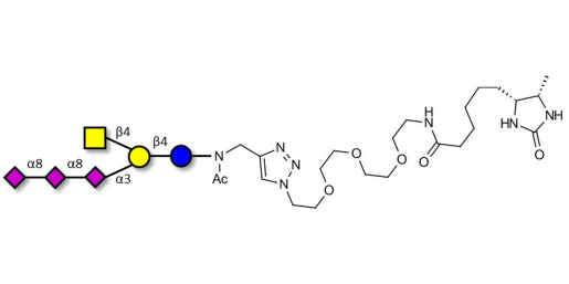 GT2 Ganglioside oligosaccharide linked to desthiobiotin (Linker-DBT-A)