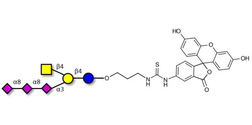 GT2 Ganglioside oligosaccharide linked to fluorescein (Linker-FLUO A)