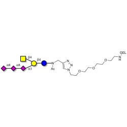 GT2 Ganglioside oligosaccharide grafted on gel for affinity chromatography (Linker-GEL A)