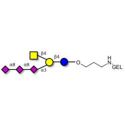 GT2 Ganglioside oligosaccharide grafted on gel for affinity chromatography (Linker-GEL B)