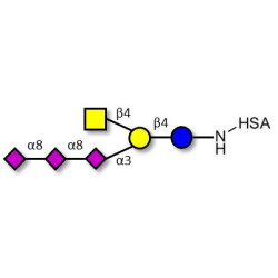 GT2 Ganglioside oligosaccharide grafted on HSA