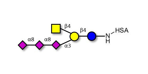 GT2 Ganglioside oligosaccharide grafted on HSA