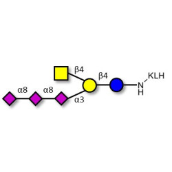 GT2 Ganglioside oligosaccharide grafted on KLH