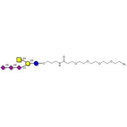 GT2 Ganglioside oligosaccharide with terminal azide (Linker-N3 A)
