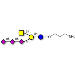 GT2 Ganglioside oligosaccharide with free terminal amine (Linker-NH2 A)