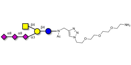 GT2 Ganglioside oligosaccharide with free terminal amine (Linker-NH2 B)