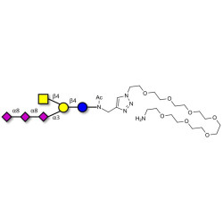 GT2 Ganglioside oligosaccharide with free terminal amine (Linker-NH2 C)