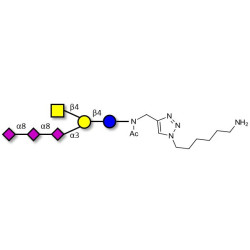 GT2 Ganglioside oligosaccharide with free terminal amine (Linker-NH2 D)