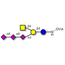 GT2 Ganglioside oligosaccharide grafted on OVA