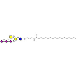 GT2 Ganglioside oligosaccharide with stearic chain (Linker-STEA A)