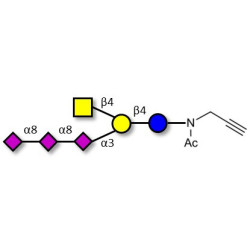 GT2 Ganglioside oligosaccharide with terminal alkyne (Linker-CΞCH A)