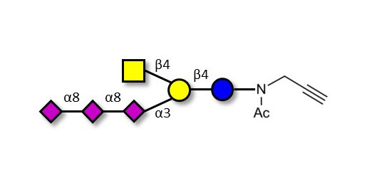 GT2 Ganglioside oligosaccharide with terminal alkyne (Linker-CΞCH A)