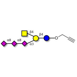 GT2 Ganglioside oligosaccharide with terminal alkyne (Linker-CΞCH B)