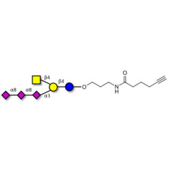GT2 Ganglioside oligosaccharide with terminal alkyne (Linker-CΞCH C)