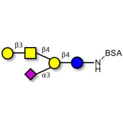 GM1a Ganglioside oligosaccharide grafted on BSA